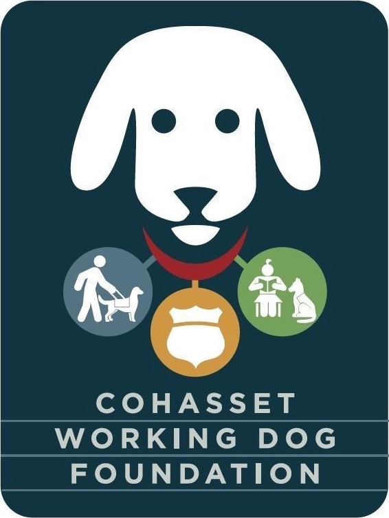 Cohasset-Dog-Found