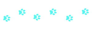 Untitled design (3)